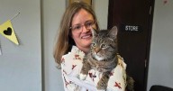 Missing Glasgow cat reunited with 'stunned' owners after nine years