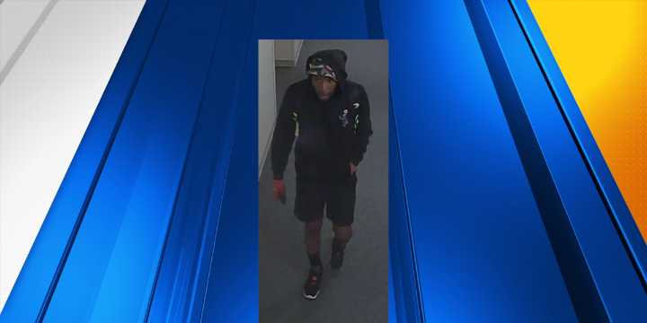 Burglary suspect breaks into Gresham City Hall, steals useless electronics