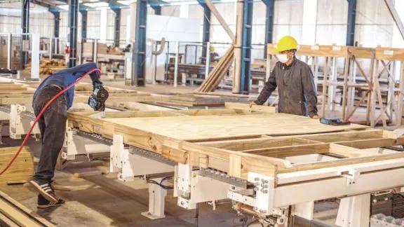 Costos de logística, carga impositiva y poca demanda entre los problemas que afecta a la forestoindustria