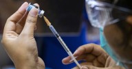 Vaccine site could save Australia billions in pandemic