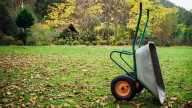 Why Fall Is The Best Time Of Year To Fertilize Your Lawn