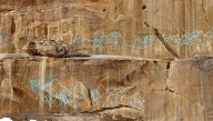 Giant Engravings Of Camels High On Desert Cliffs May Have Been Ancient “Road Signs” To Water