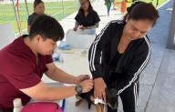 Invitan a jornada gratuita de esterilización, vacunación y desparasitación de mascotas en el sector Analco