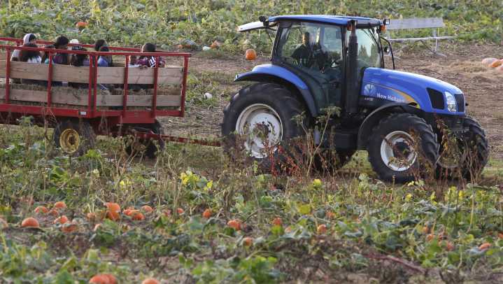 Milburn Orchards hayride crash hospitalizes man, injures 4 others