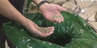 Coffee prices on the rise, how eastern Iowa cafes deal with costs