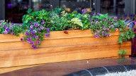 Upcycle A Wood Pallet Into A Chic Planter Box To Upgrade Your Outdoor Living Space