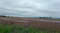 El agro se prepara para un trimestre con lluvias desiguales y calor en aumento