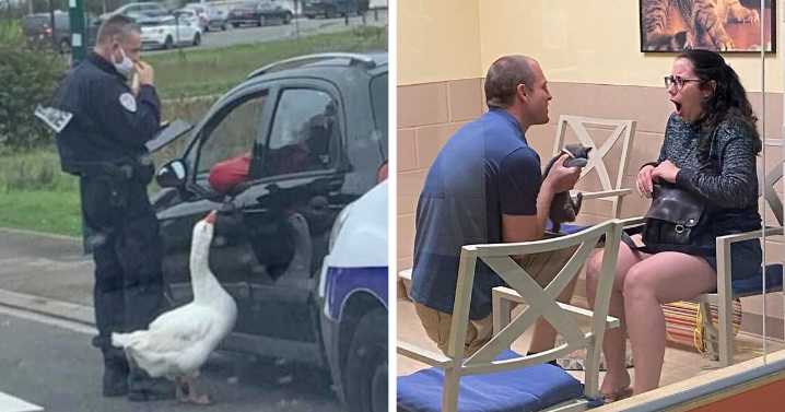 This Facebook Page Is All About Animal Images That Need To Be Seen (45 New Pics)