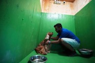 Rome’s airport opens luxurious dog hotel with pampering services