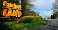 Man arrested after stabbing at Flamingo Land Resort