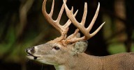 West Virginia Natural Resources Commission meetings to start later