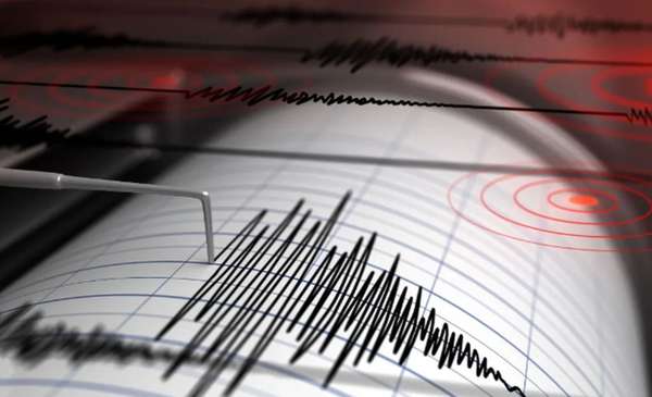 Un sismo sacudió a la localidad chilena de Mendoza: registró una magnitud de 4.6