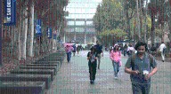 Fewer international students enrolling in American universities, report says