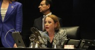 ¿Promesa o realidad? Senado cancelará viajes internacionales para reducir gastos