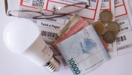 Resultados Subsidio Eléctrico ya disponibles: revisa ACÁ si eres beneficiario