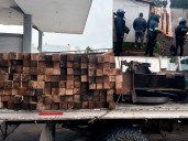 Capturan a tres personas por tala ilegal en Ocuilan