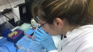 Estudio: la inversión en bienes de capital para hacer ciencia se redujo 65% en dos años