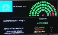 En vivo: el Senado rechazó el veto de Milei y convirtió en ley la emergencia en Discapacidad