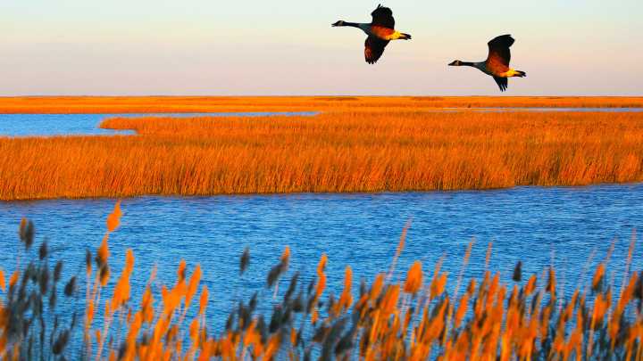 This Secret National Park Site Is Officially One Of America's Most Beautiful Places