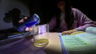 Baleares extenderá la prohibición de las bebidas energéticas y ultraprocesados a las salidas escolares y los viajes de estudios