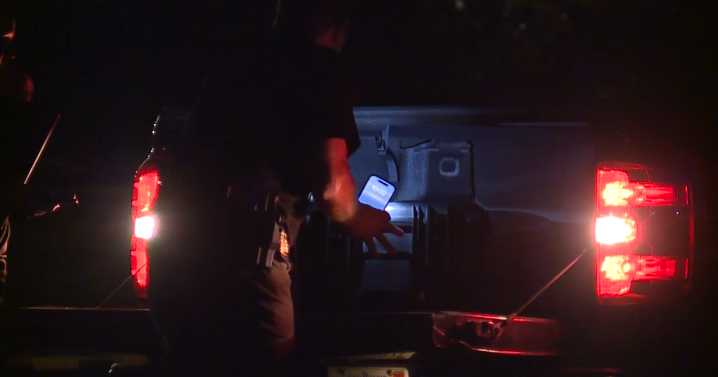 30-year-old woman killed in Canton Township domestic assault, police say