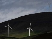 Energy Dept. tells employees not to use words including 'climate change' and 'green'