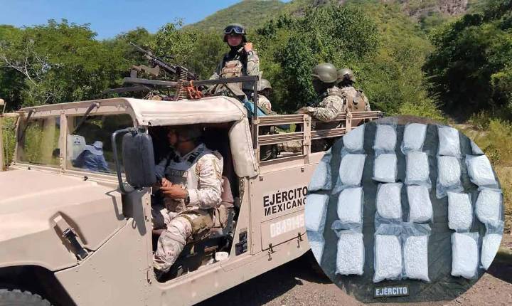 Autoridades federales aseguran más de 140 MDP en drogas en Sonora y Sinaloa