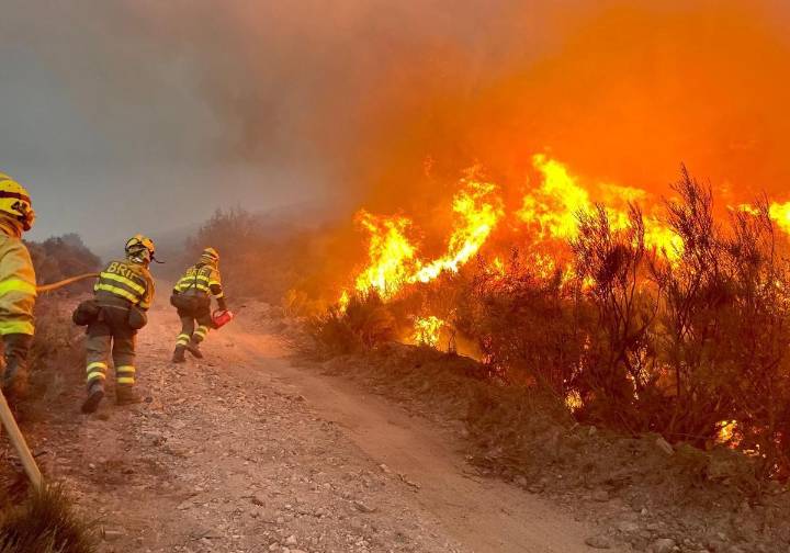 Muere un hombre en un incendio forestal en Villarejo de Órbigo (León)