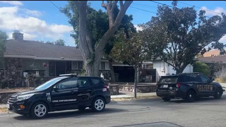 Hallan cultivo de marihuana en vivienda en Pittsburg – Telemundo Area de la Bahía 48