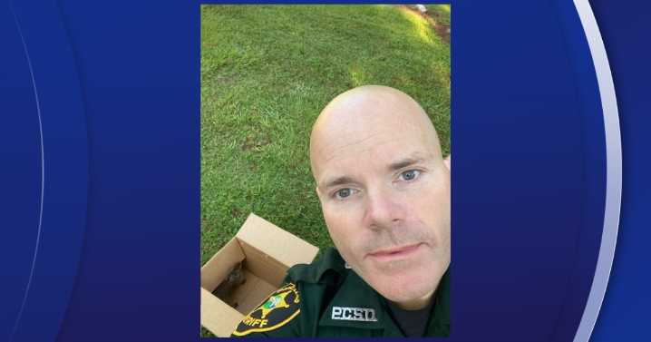 Pinellas deputy rescues injured rabbit, nurses it back to health then sets it free