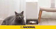 El comedero automático con WiFi que da de comer al gato aunque no estés en casa