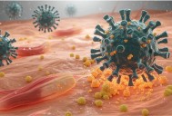 ¿Cómo se contagia el virus Coxsackie que se está esparciendo en Campeche y cómo evitarlo?