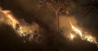 Disturbing video after national park fire in Queensland