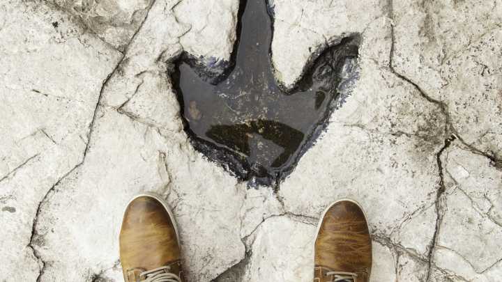 The NPS Intervenes At Beloved National Military Park Over Missing Dinosaur Fossil Dating Back To 201 Million Years Ago