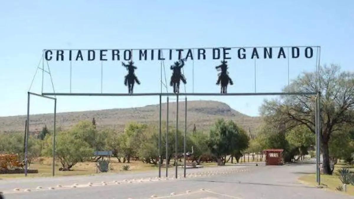 Niega criadero en Santa Gertrudis venta de reses por redes sociales; exhortan a no caer en fraudes