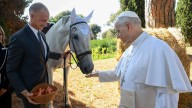 El Pura Raza Española, el caballo del Vaticano