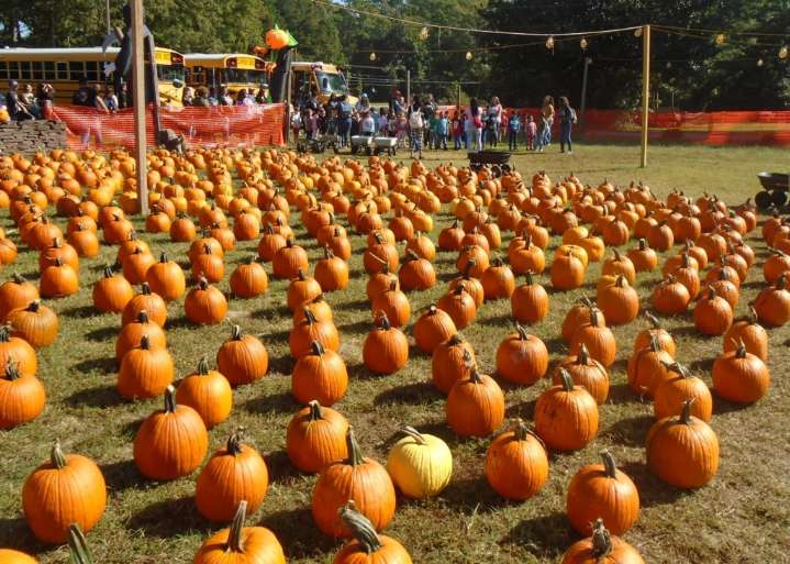 Things to do in Hampton Roads in fall: 2025 bazaar guide