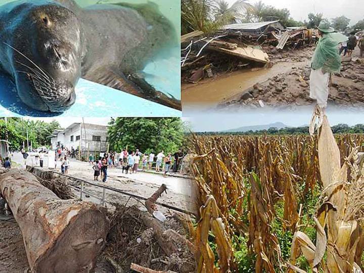 Alertan de vulnerabilidad de El Salvador al cambio climático