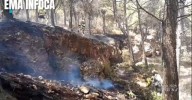 Controlado un incendio forestal próximo a la planta embotelladora de Mijas