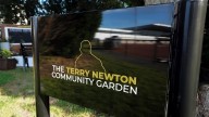 Wigan Warriors rugby club creates community garden as 'safe haven' to help combat suicide