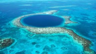 Exploran el fondo del Gran Agujero Azul y hallan una tendencia que enciende las alarmas