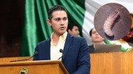 Diputado Armando Gutiérrez urge reforzar vigilancia contra gusano barrenador en NL