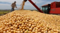 Retenciones cero: productores denuncian que el beneficio quedó en manos de los grandes exportadores