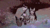 Air Force veteran say K-9s had his back in Vietnam