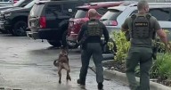 Deerfield Beach asking residents if they support leaving BSO