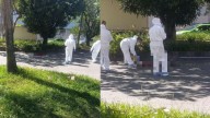 Habitante de calle cayó de un árbol y murió atropellado en la avenida Las Vegas