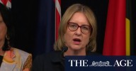 Victorian premier faces backlash over horror machete killings