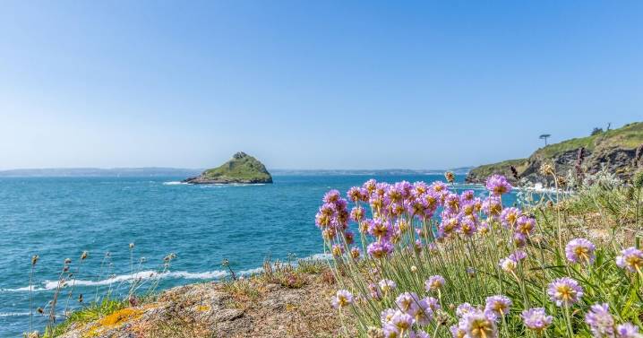 Man falls off cliff at Hope's Nose
