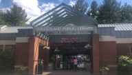 Guilderland Public Library to host fan convention