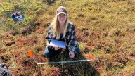 I study climate change. This summer, it got too hot for me to do my field work
